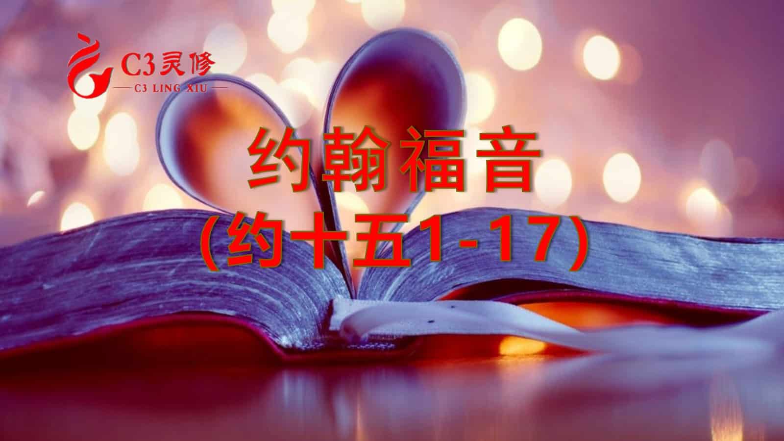 51主耶稣是真葡萄树-约15章1-17 – C3灵修网络圣经学院