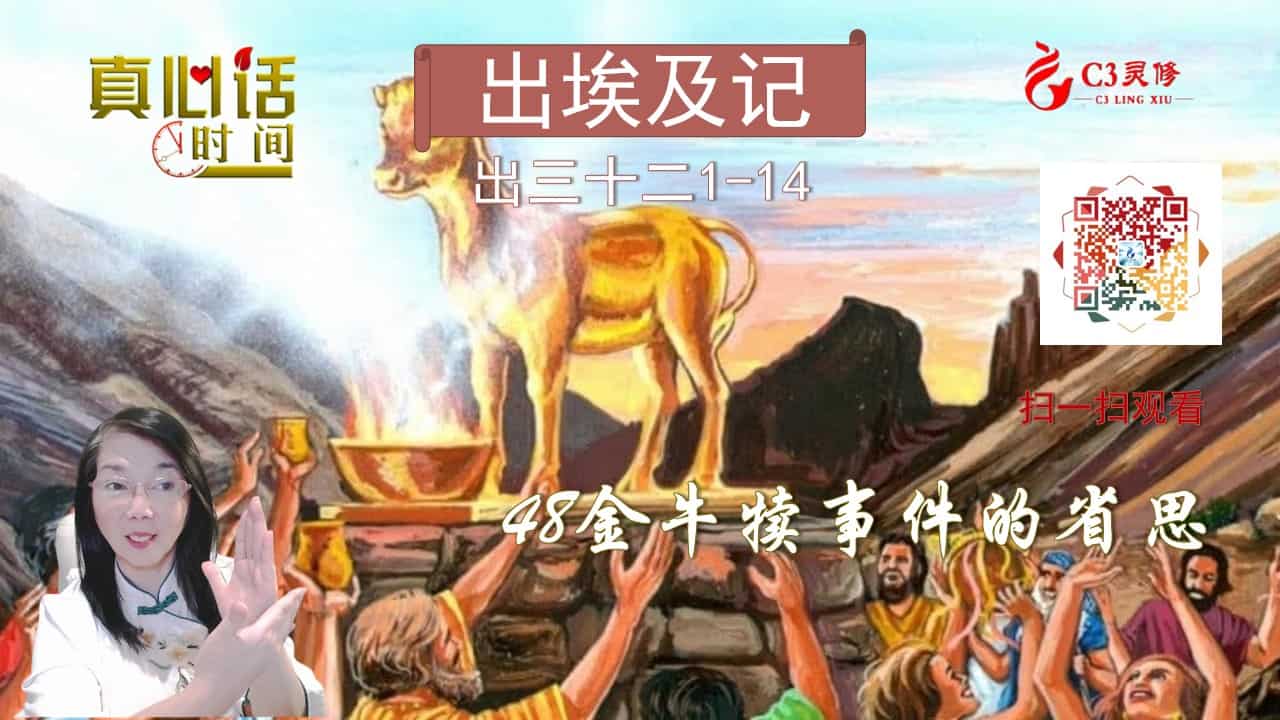 48金牛犊事件的省思