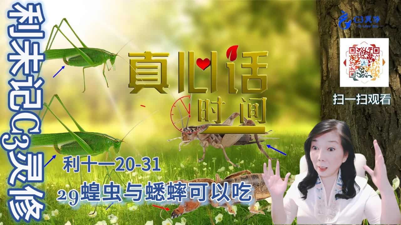 29蝗虫与蟋蟀可以吃