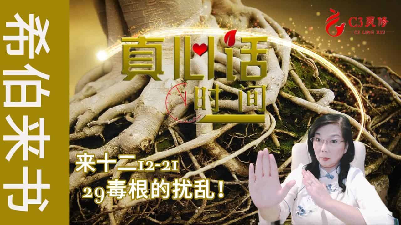 29毒根的扰乱！（来十二12-21）